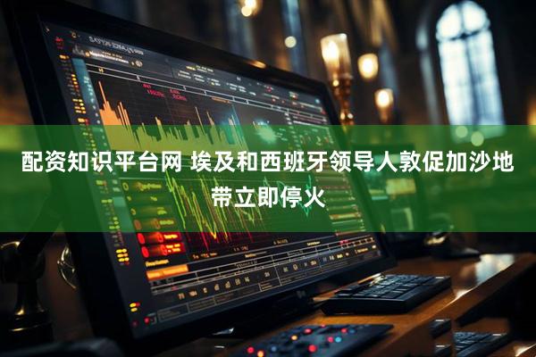 配资知识平台网 埃及和西班牙领导人敦促加沙地带立即停火